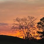 Debbie Bailey Westfall - @dwestfall0816 - Instagram