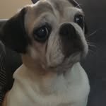 Bailey Wharton - @bailey_wharton1 - Instagram