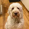 Bailey! - @bailey.whipple - TikTok