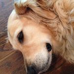 Bailey Whitman - @smiley_bailey - Instagram