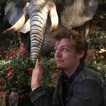 Bailey Whitman - @baileywhitman2 - Instagram