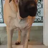 bailey.wiberg2011 - @bailey.wiberg2011 - TikTok