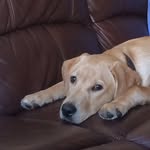Bailey - @bailey_wick - Instagram