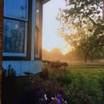 Debbie Bailey - @baileywick_cottage - Instagram