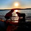 Ella's Baileywick - @ellas.baileywick - TikTok