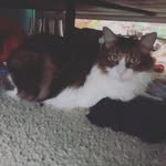 Sq - @bailey_wick_ - Instagram