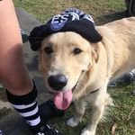 Bailey Wolfe - @lil_bwaby_gurl - Instagram