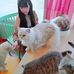 Bailey Zhang - Facebook