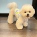 Bailey Zhang - Facebook