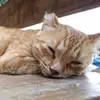 bailey.zhang - @bailey.zhang - TikTok