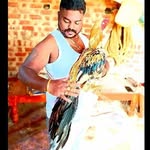 Balu Chandra - @baluchandra8 - Instagram