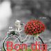 Brather Bomba - Facebook