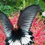 Trần Ban - @ban.tran.7737 - Instagram