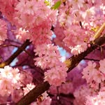 Banesa Castillo Flores - @banecasati - Instagram