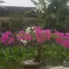 Bang Vu - @bangvu16 - TikTok