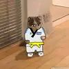 bao bui - @giabaobui657 - TikTok