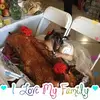 Bao Dinh - @baodinh0 - TikTok