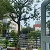 Baodinh - @baodinh977 - TikTok