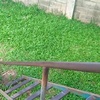 Bao Do - @baodo79 - TikTok