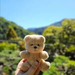BAODOT - @bao.dot - Instagram