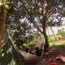 Bảo Đoàn - Facebook
