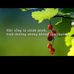Bao Luu - Facebook
