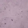 Bap Doan - @bap.doan - TikTok