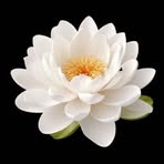 Bapi Chatterjee - Facebook