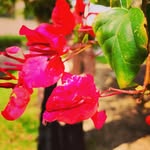 Bâŕâ Âbêđ - @baraabed5 - Instagram
