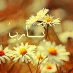 Bara'a Jabali - @jabalibaraa - Instagram