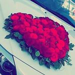 ♡🙈bo💋bo🙈♡ - @baraaaljabali - Instagram