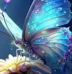 Baraa Hussein - Facebook