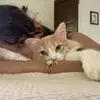 ᴮᵃʳᵃᵃ ᴴᵘˢˢᵉⁱⁿ - @b._a4 - TikTok