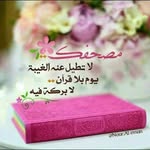 Baraa Salem - @baraa.salem.3551 - Instagram