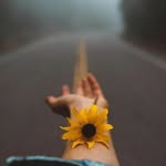 Bara'a Salem - @baraa.salem.1481 - Instagram