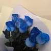 Baraa Salem - @baraa.salem78 - TikTok