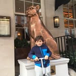 Barak Davison - @davisonbarak - Instagram