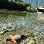 Barak Levi - @baraklevi76 - Instagram