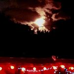 Barak Ostrovsky - @barak.ostrovsky - Instagram