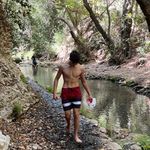 baraktwersky - @baraktwersky - Instagram