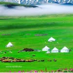 Baran Barut - @baran.barut.140 - Instagram
