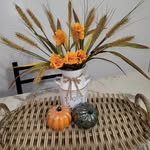 Barb Allard - @barb.allard - Instagram