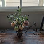 Barb Allard - @allardbarb - Instagram