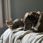 Barb Allard Hillmann - @babs1157 - Instagram