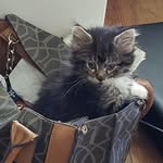 Barb Ballard - @barb.ballard.737 - Instagram