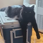Barb Mostowy Allard - @personalcaregiver - Instagram