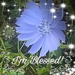 Barb Allen - @barballen174 - Instagram