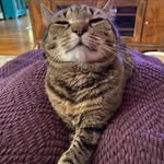 Barb Allen - @ba1231 - Instagram