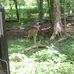 Barbara Kratzer Alspaugh - Facebook
