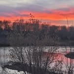 Barb Andersen - @barb68813 - Instagram